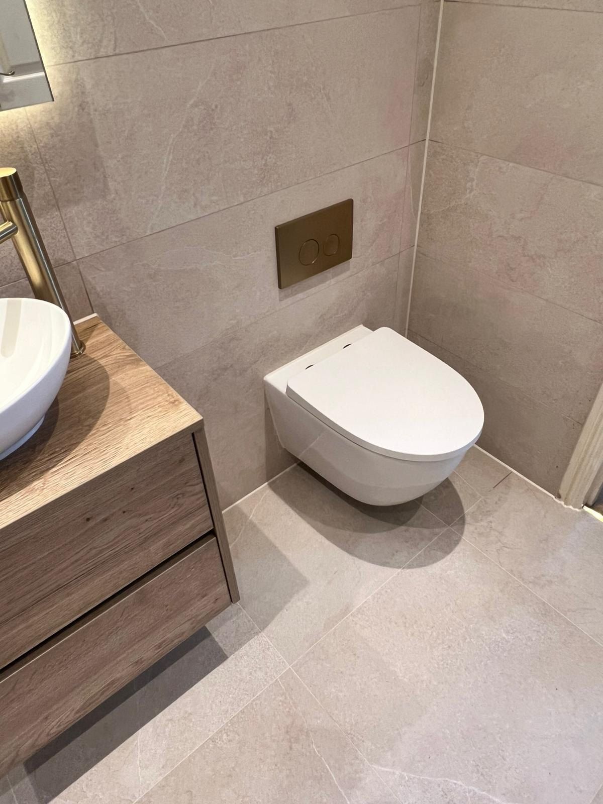 Wall hung toilet oak vanity